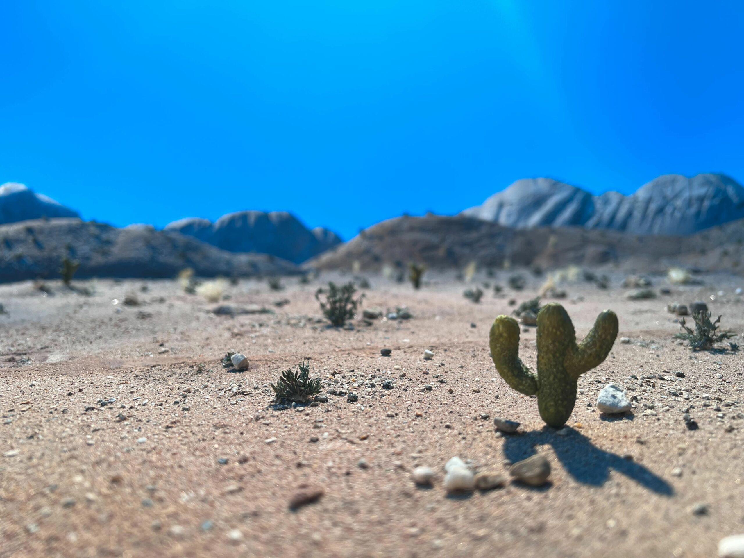 Oscar Meyers - Cheesesplosion